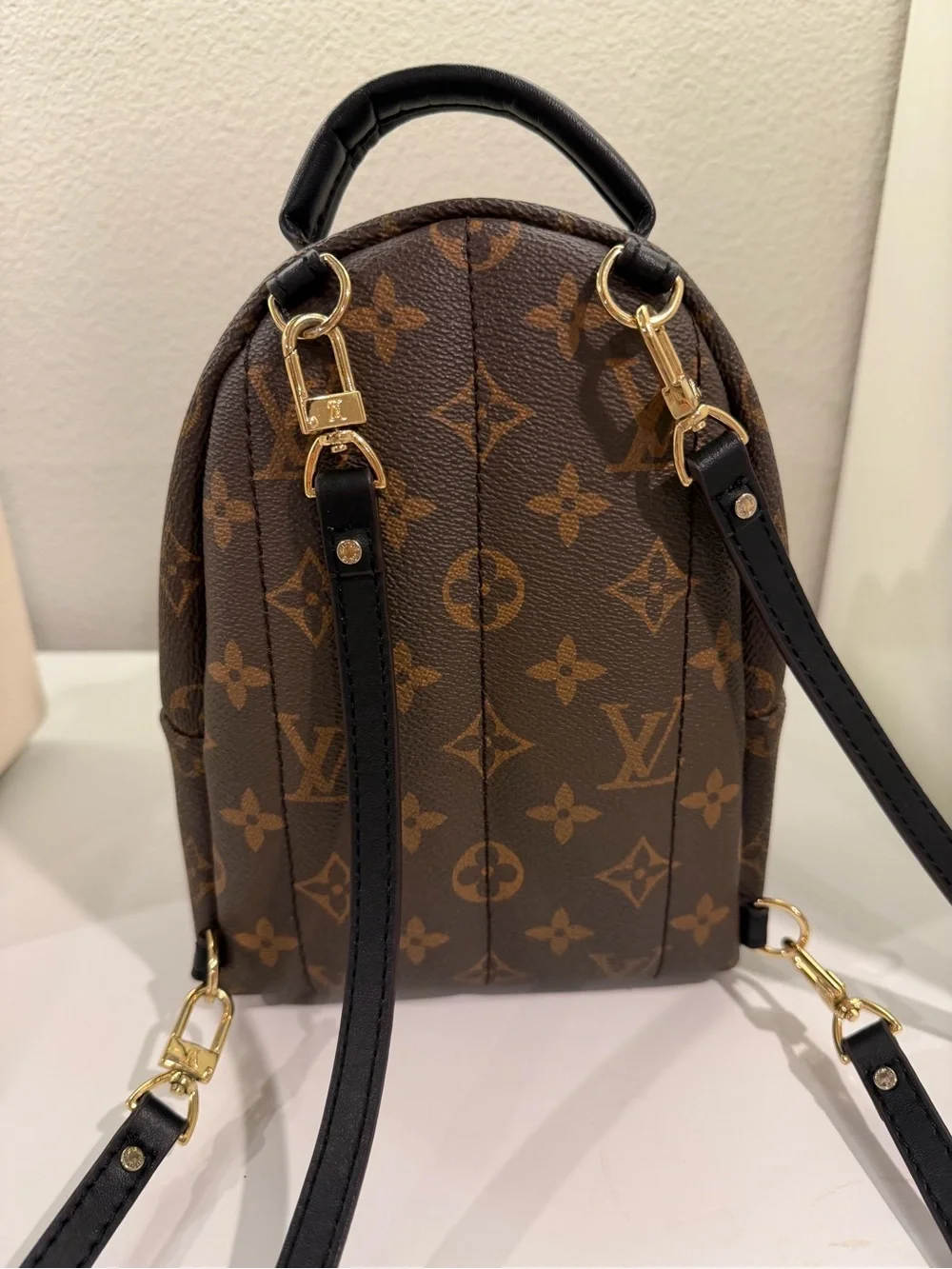 Louis Vuitton Monogram Mini palm Backpack